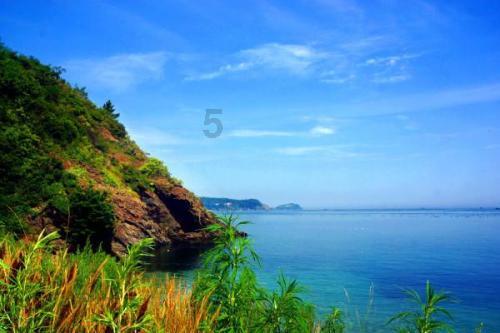 长期吃护肝片就能护肝？提醒：这4个才是核心成分！早知早受益